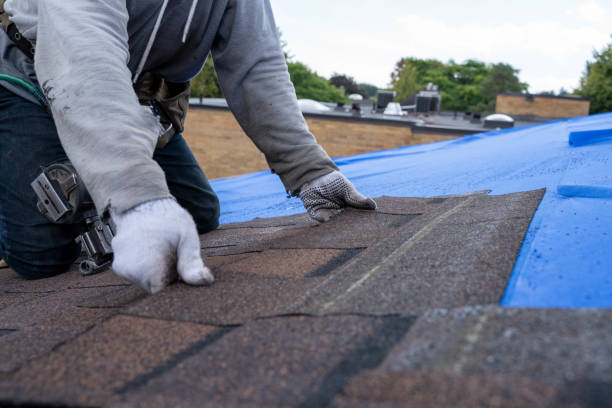 Gutter Installation and Roofing in Drexel, OH